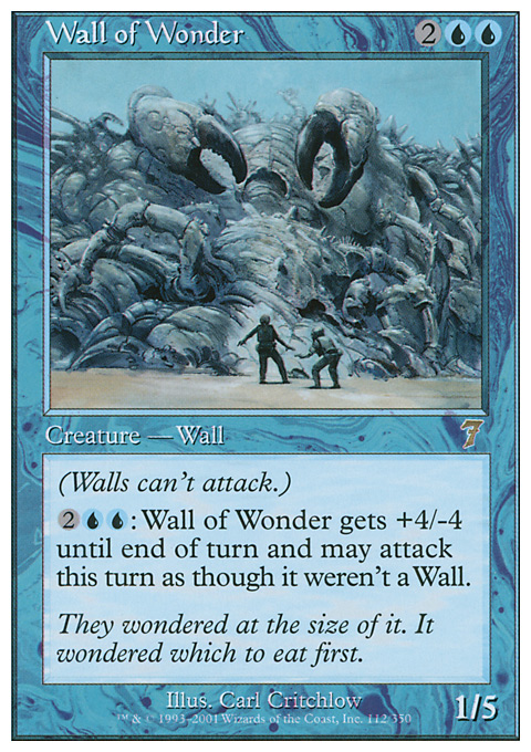 MTG Magic the Gathering Wall of Wonder (112/354) Seventh Edition LP