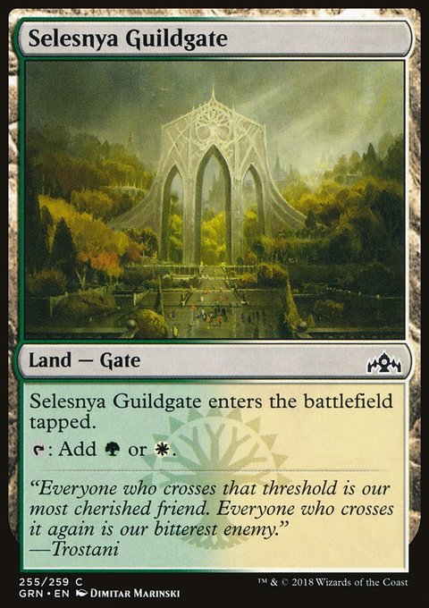 best selesnya cards mtg MTG Magic the Gathering Selesnya Guildgate (255/291) Guilds of Ravnica NM