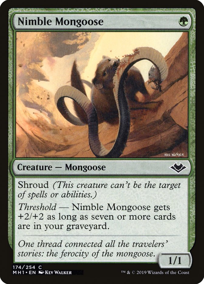 mtg iroas commander deck MTG Commander EDH Deck Iroh, Grand Lotus 100 Cards Custom Deck Avatar: –  Moonveil Games
